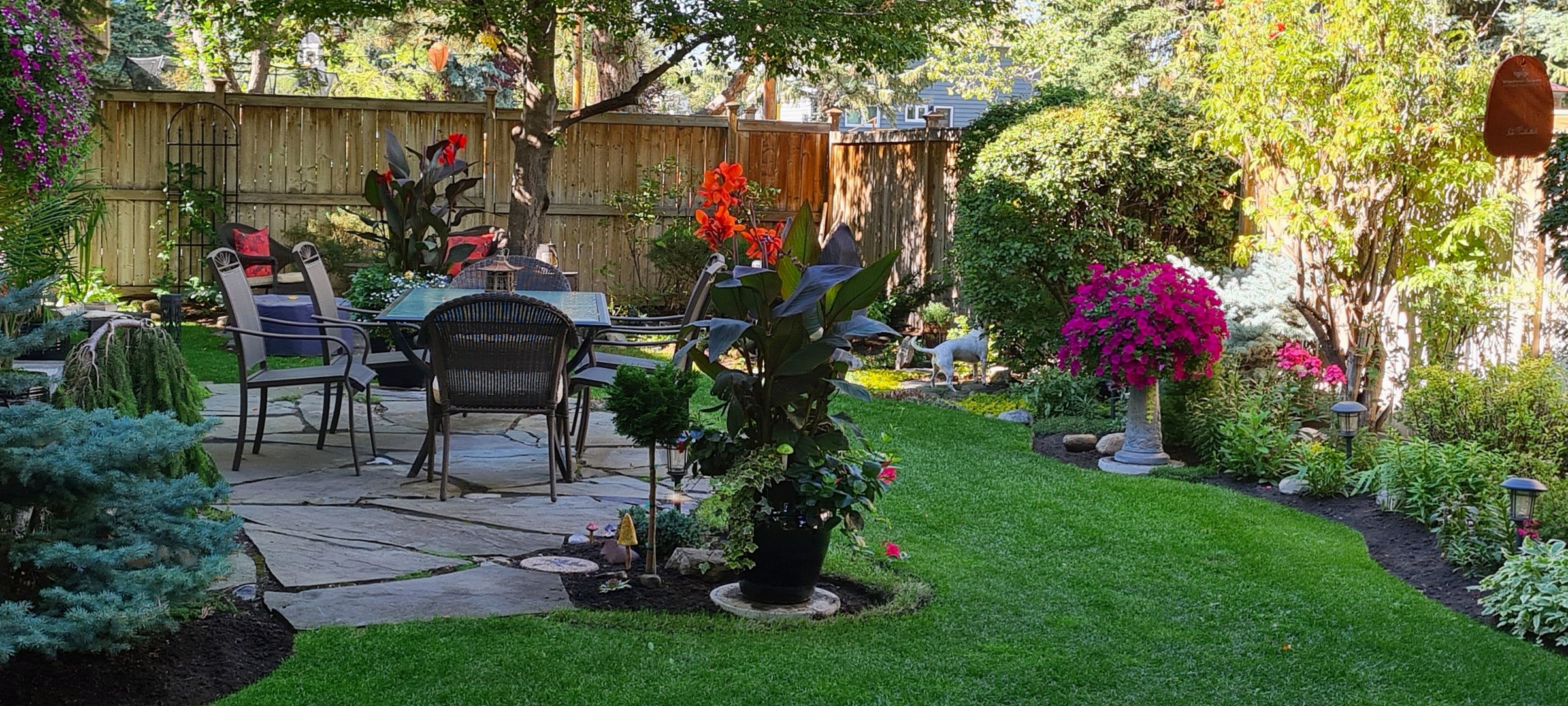 Slider Image 2
