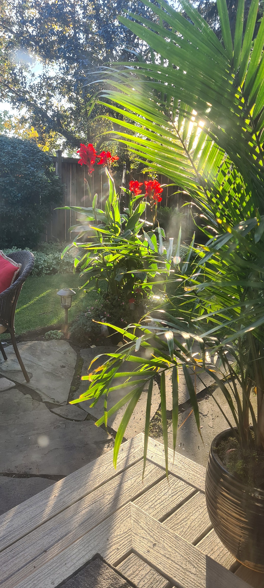 Slider Image 6